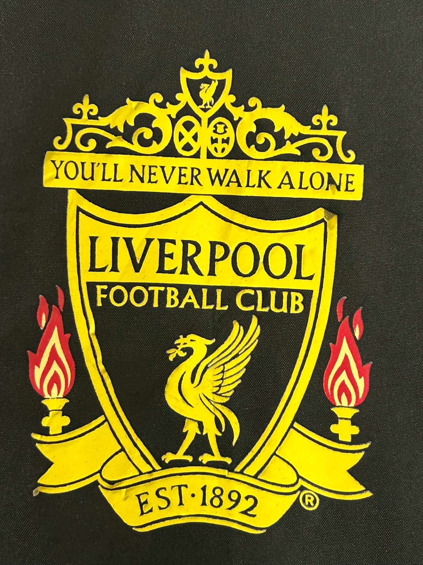 Liverpool 2010/11 1/4 Zip L