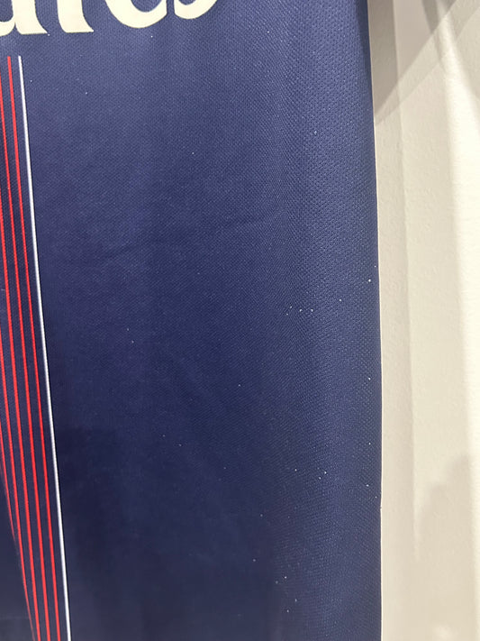 PSG 2016-17 Home L