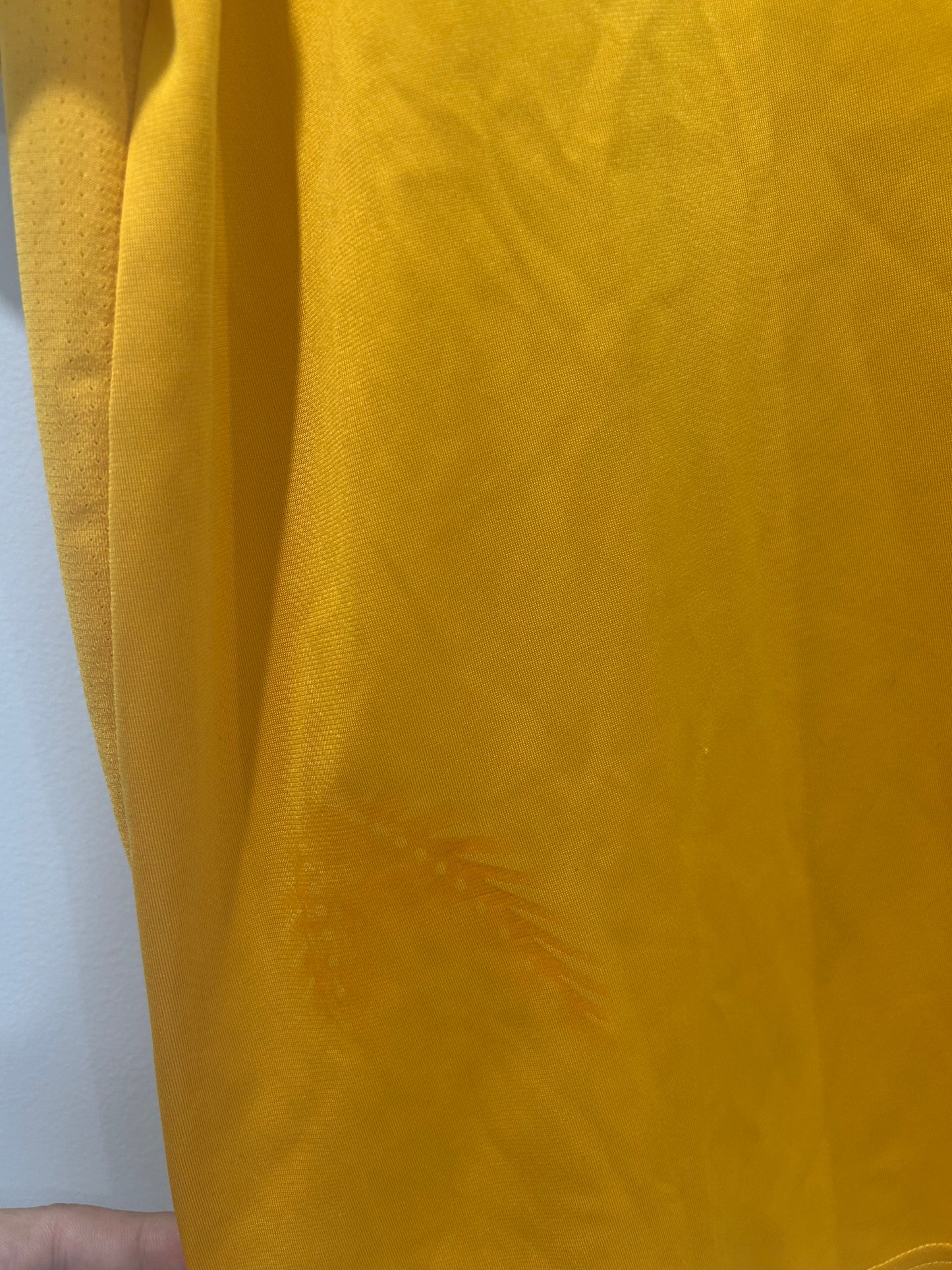 Socceroos 2006 Training XL