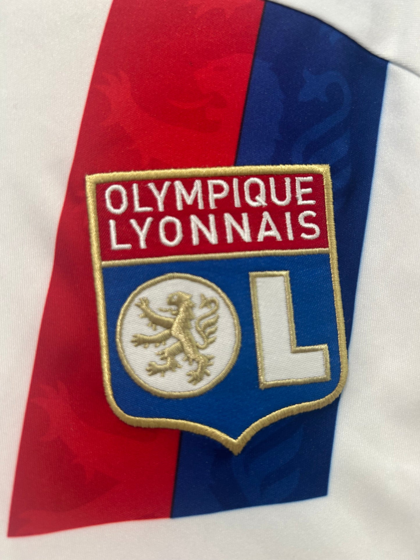 Lyon 2010/11 Home S