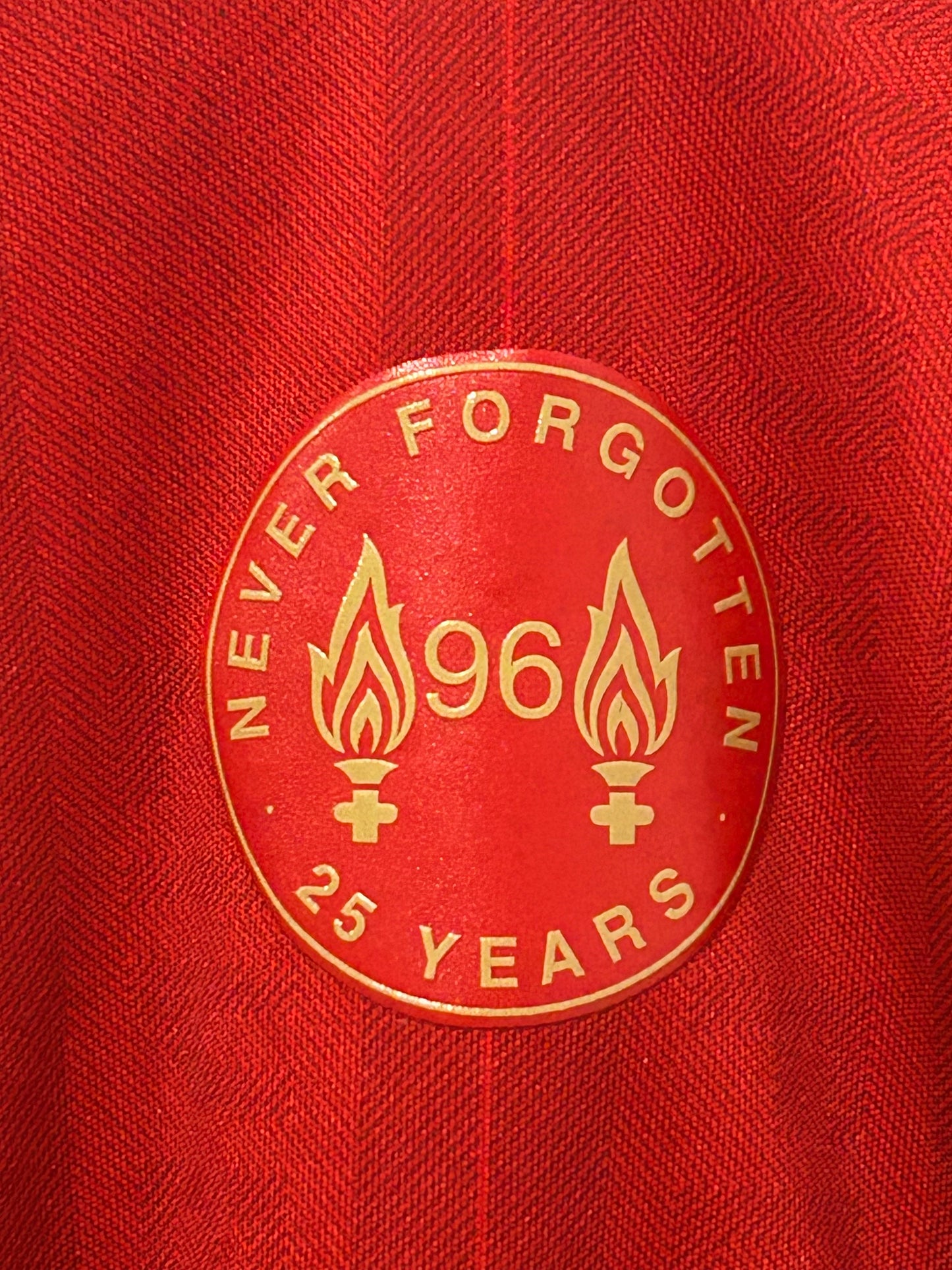 Liverpool 2013/14 Home L